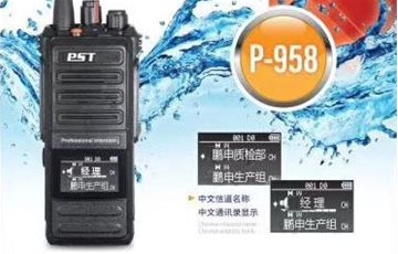 P-958