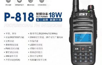 P-818